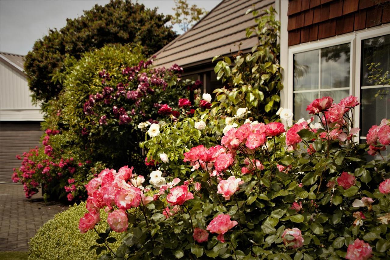 The Loft Bed And Breakfast Lac Lac Taupo Extérieur photo