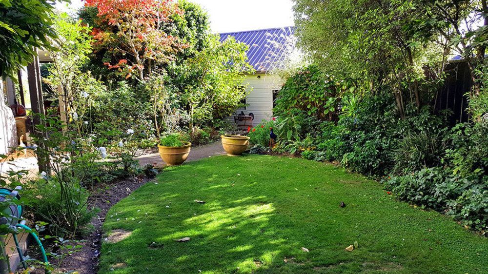 The Loft Bed And Breakfast Lac Lac Taupo Extérieur photo