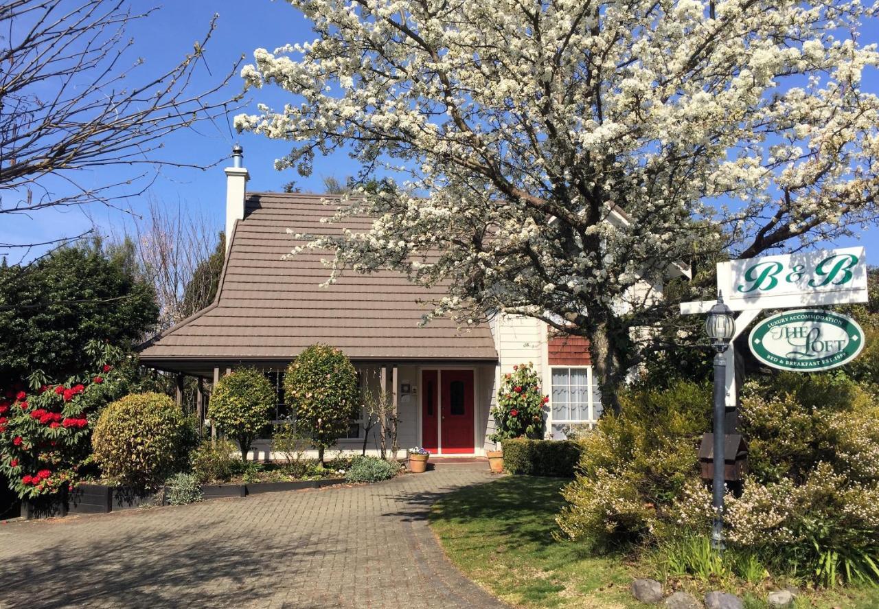 The Loft Bed And Breakfast Lac Lac Taupo Extérieur photo